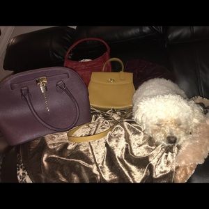 Luxury Handbags (dog not included)